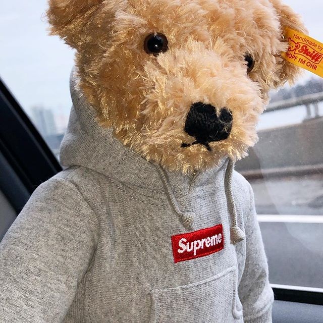 Supreme hoodie teddy 2025 bear