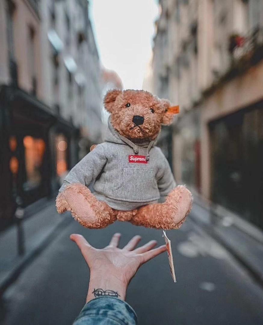 Supreme Steiff Teddy Bear With Gray Box Logo Hoodie