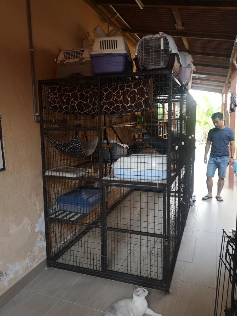 Sangkar/Cage Kucing besar 10ft x 6ft x 4ft, Pet Supplies, Pet 