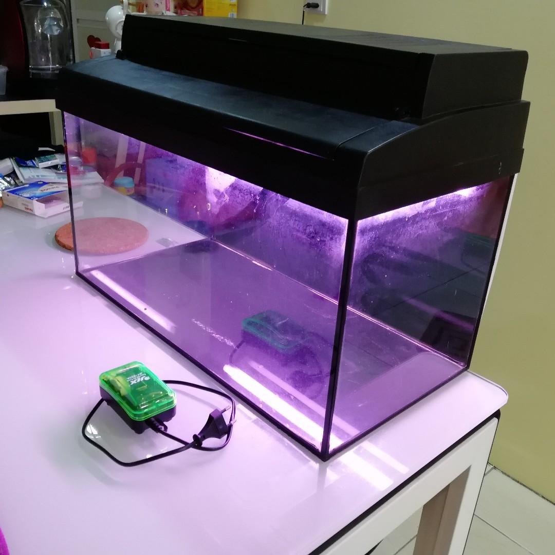 2 Feet Used Aquarium with Top Cover