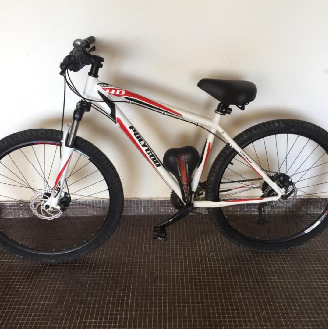 polygon premier 4.0 mountain bike