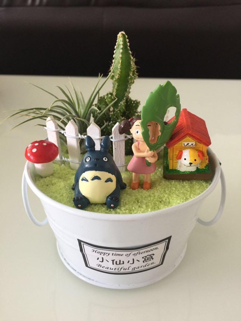 Totoro Girl Air Plant Succulent In Beautiful Garden Totoro Toto咯 Hobbies Toys Stationery Craft Occasions Party Supplies On Carousell