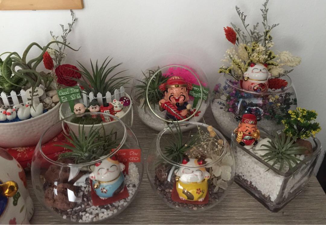 Totoro Girl Air Plant Succulent In Beautiful Garden Totoro Toto咯 Hobbies Toys Stationery Craft Occasions Party Supplies On Carousell