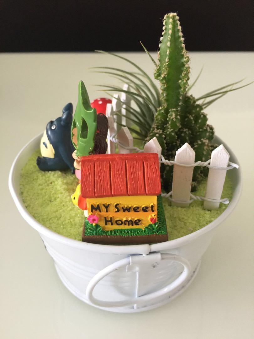 Totoro Girl Air Plant Succulent In Beautiful Garden Totoro Toto咯 Hobbies Toys Stationery Craft Occasions Party Supplies On Carousell