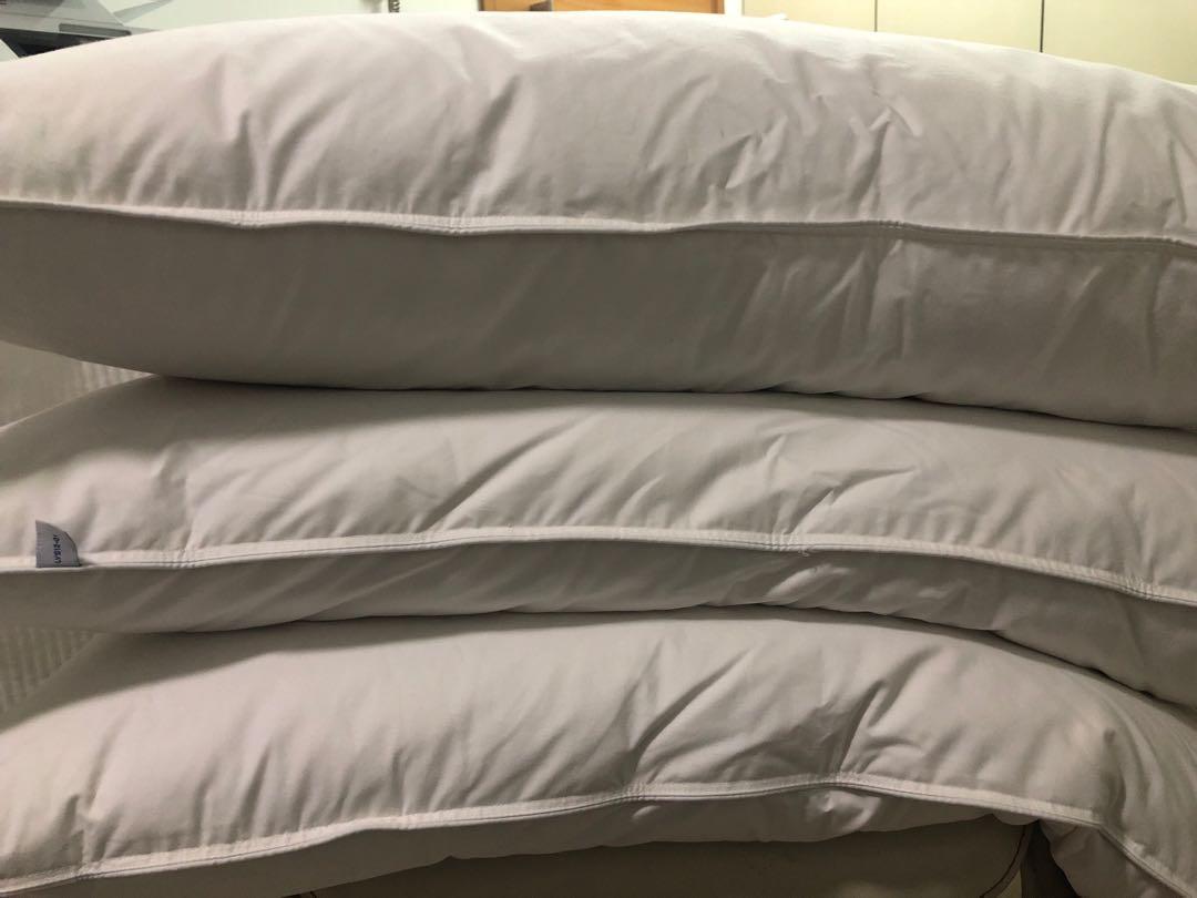 Bn Hotel Pillow Furniture Beds Mattresses On Carousell