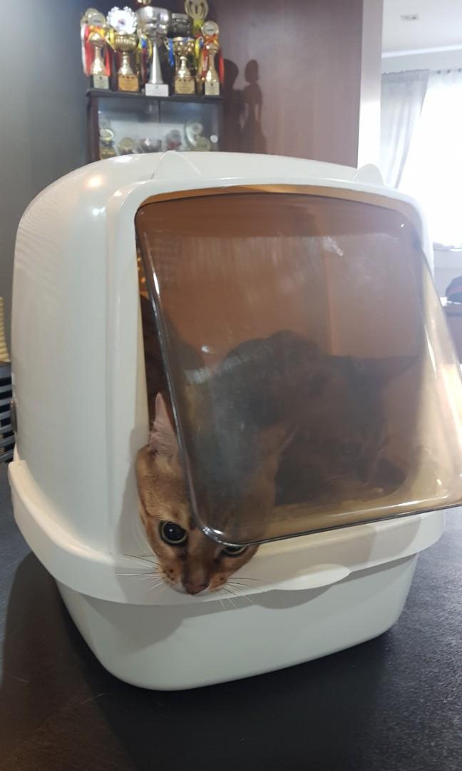catidea litter box
