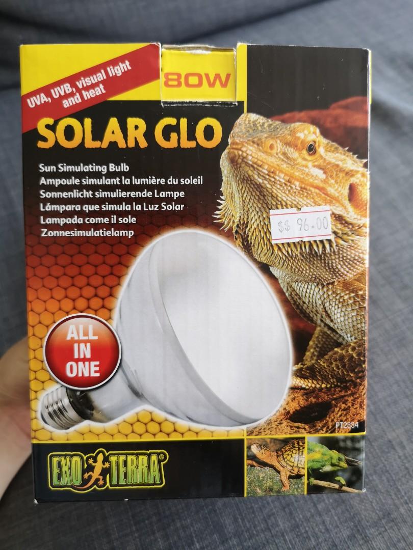 Exo Terra Solar Glo Sun Stimulating Bulb, Pet Supplies, Homes & Other Pet Accessories on Carousell