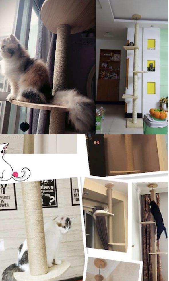 Floor To Ceiling Cat Tree Scratch Pole Pet Supplies For