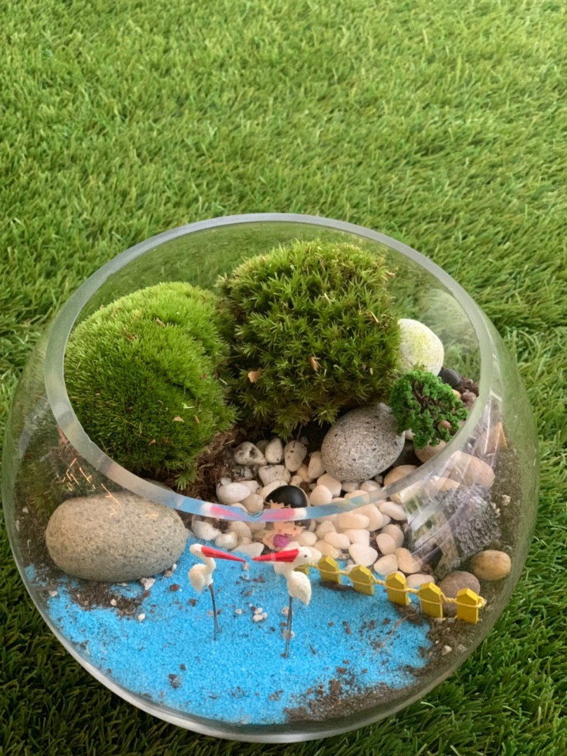 Terrarium house by the river, Furniture & Home Living, Gardening
