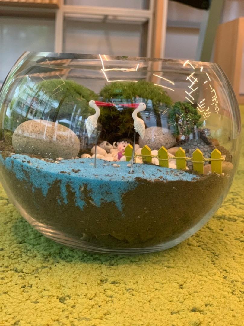 Terrarium house by the river, Furniture & Home Living, Gardening