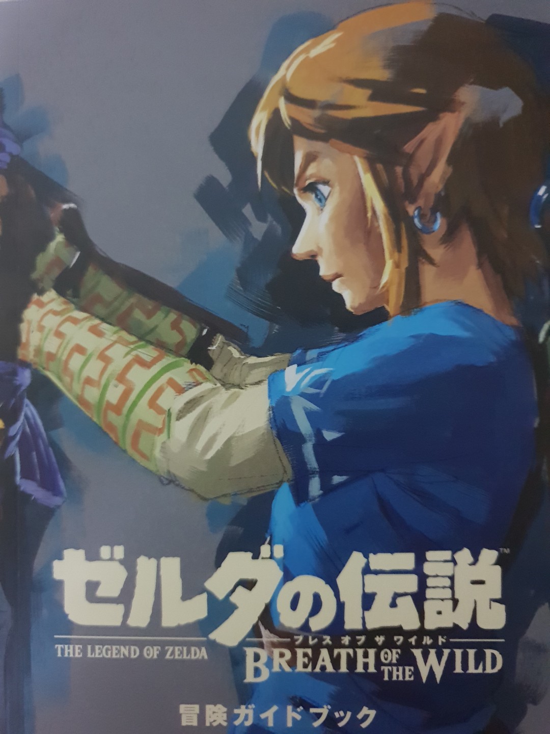 Zelda BotW Art book collectible, Video Gaming, Video Games, Nintendo on Carousell