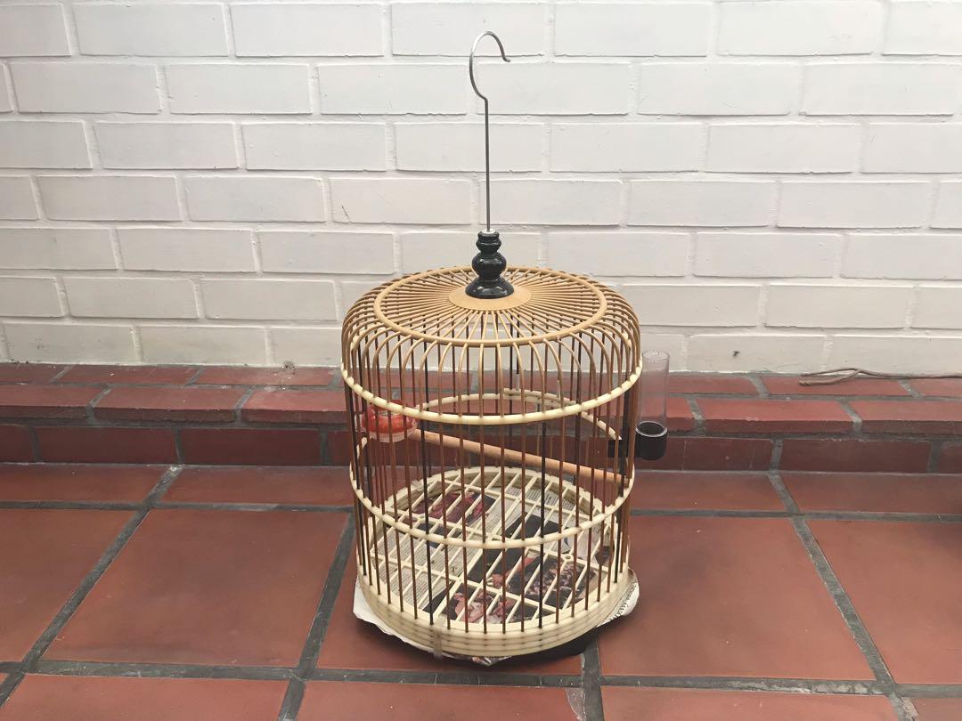 medium size bird cage