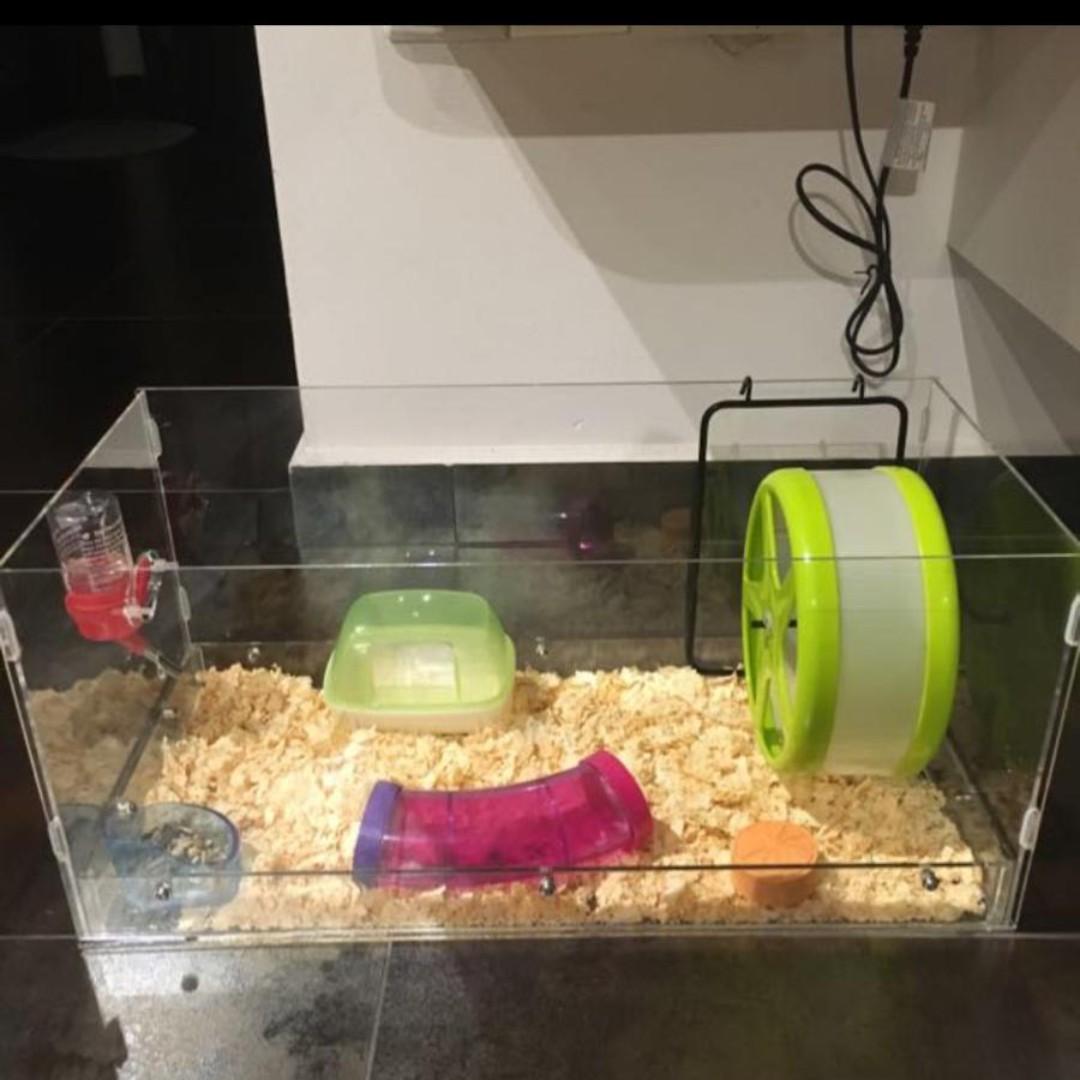 New Price List Acrylic Guinea Pig Hamster Tank Cage Pet