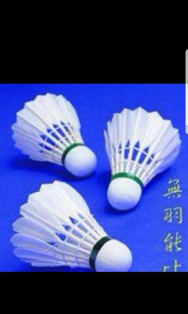 Badminton Courts (pek kio cc), Sports Equipment, Sports & Games, Racket