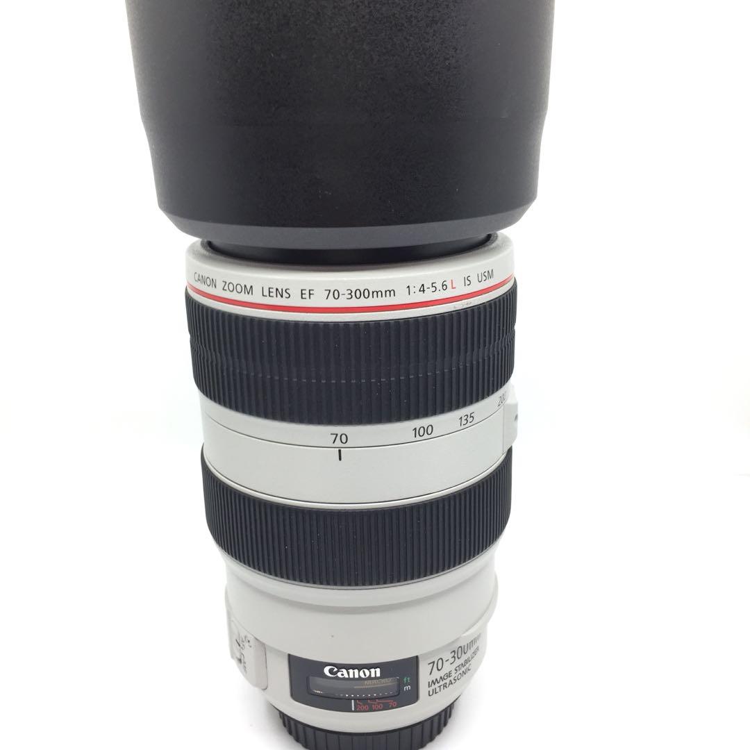 Canon 70-300mm F4-5.6 L IS USM, 攝影器材- Carousell