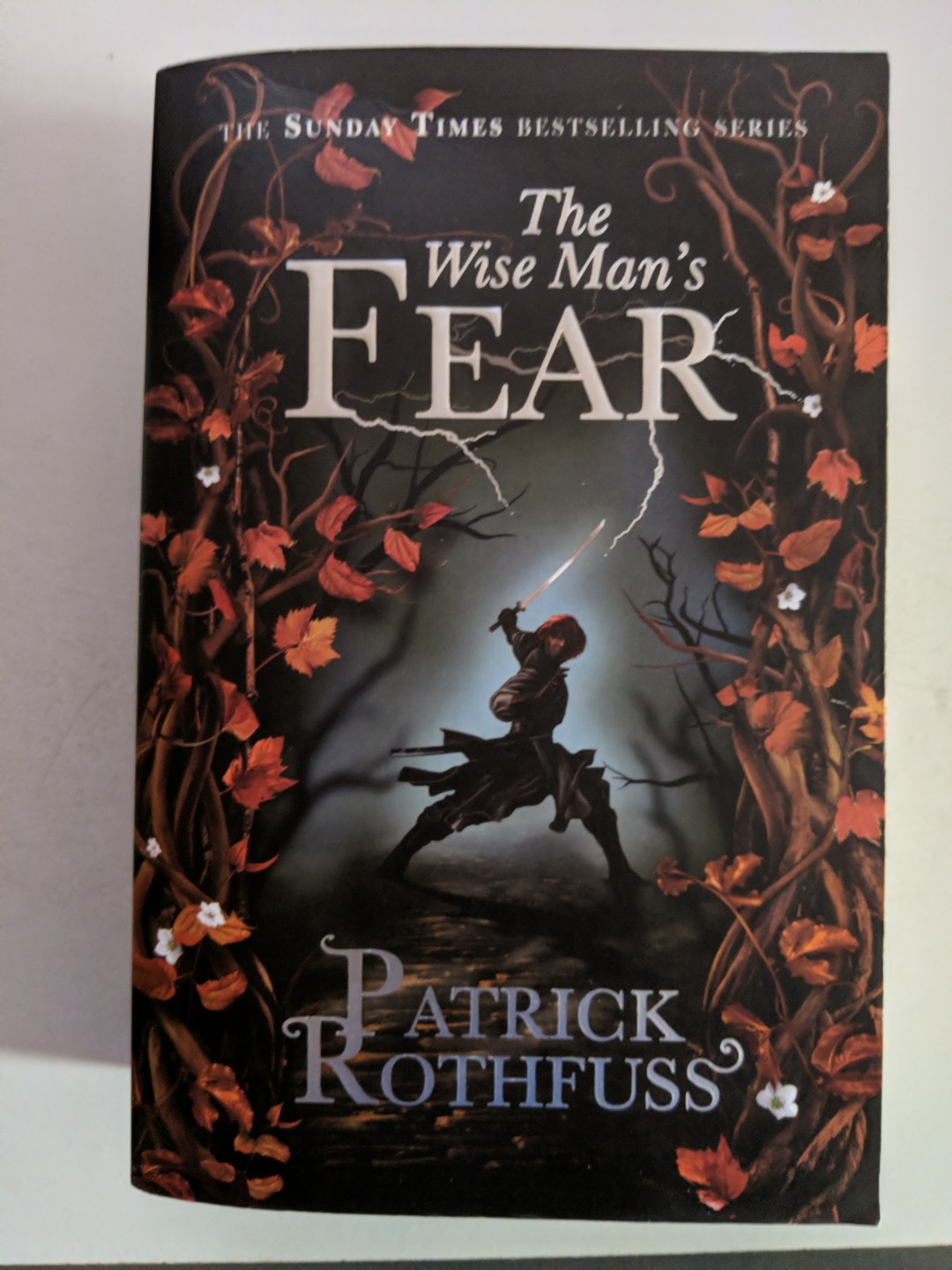 The Wise Man S Fear Patrick Rothfuss Books Stationery Fiction On Carousell