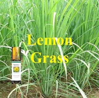 varicose veins & pain relief.