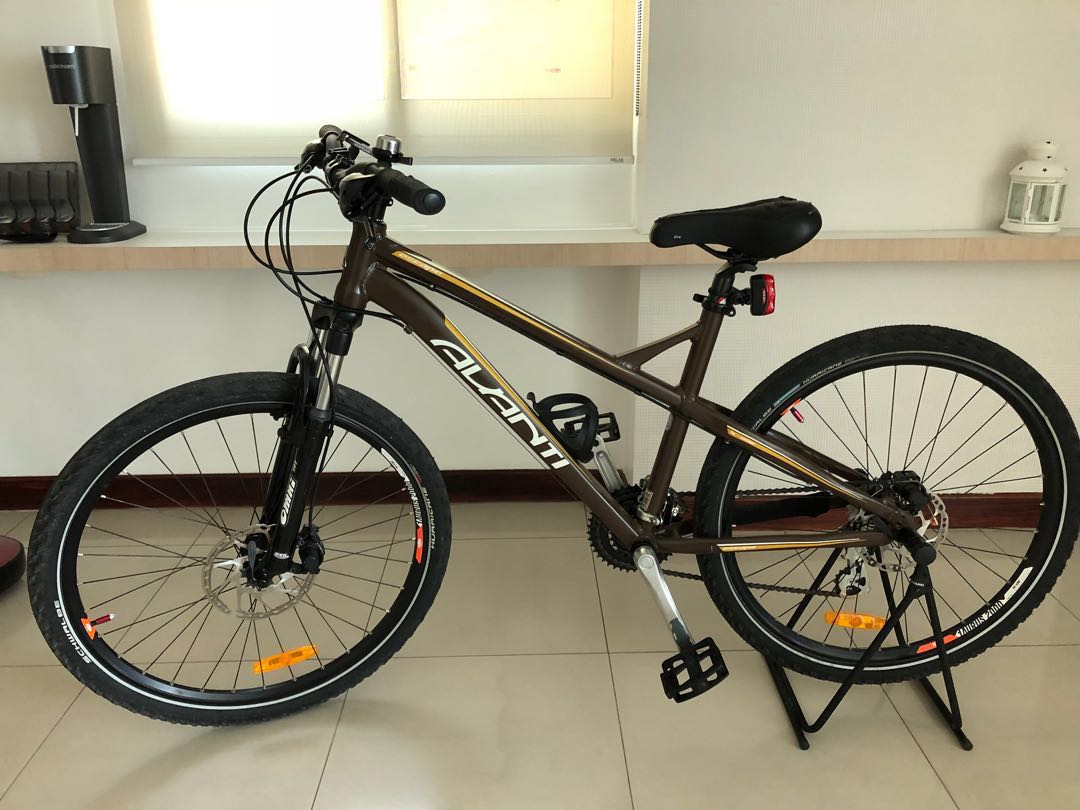 Avanti escape top mountain bike