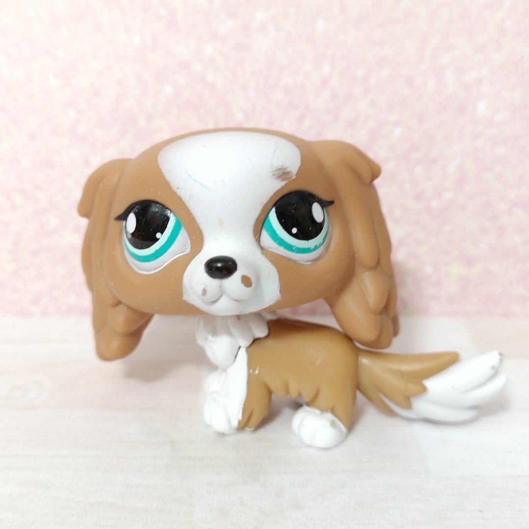 King charles spaniel discount lps