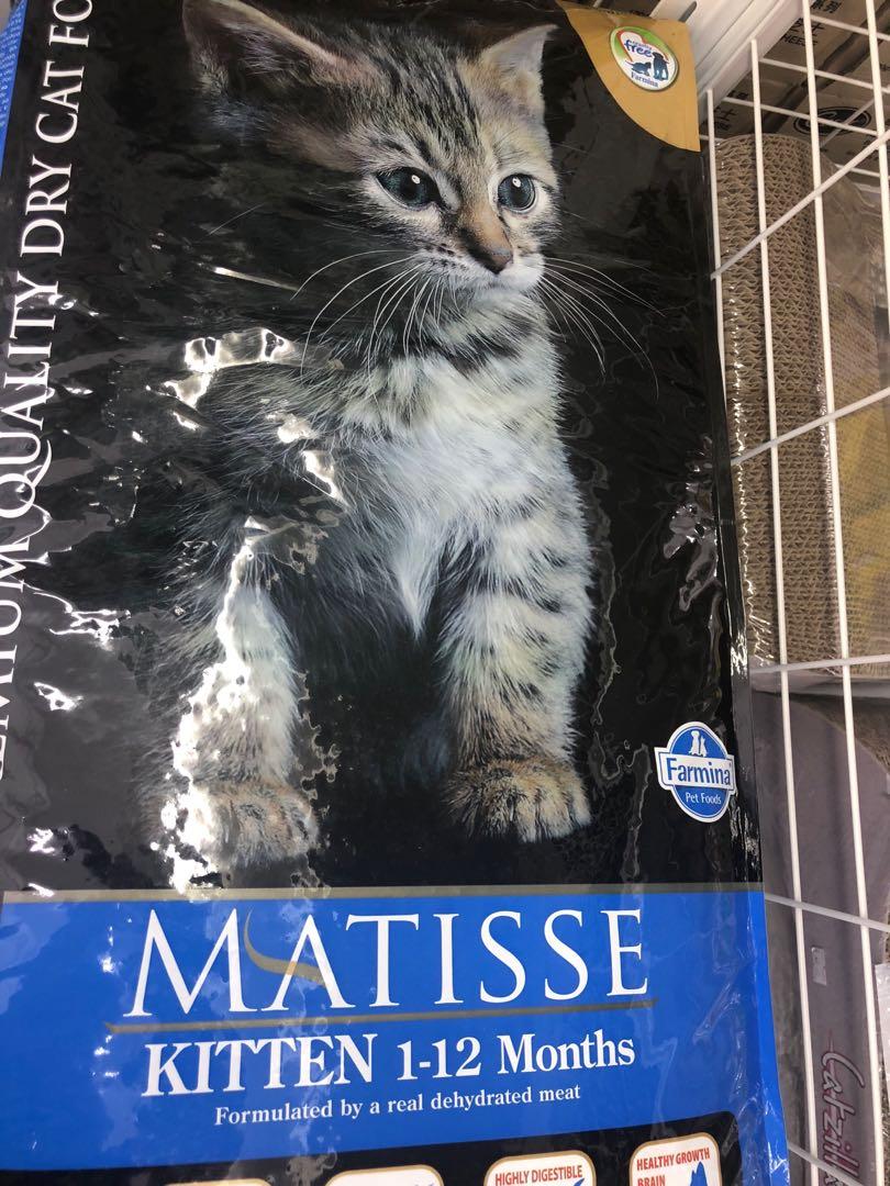 Matisse Kitten 10kg Pet Supplies Pet Food On Carousell