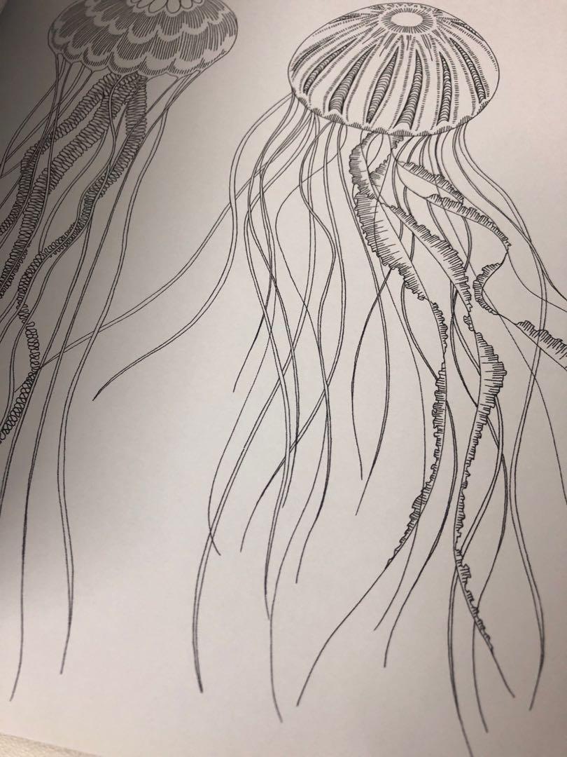 Millie Marotta S Animal Kingdom Colouring Book Design Craft Others On Carousell Millie marotta is a freelance illustrator working in her studio by the sea in a little corner of west wales. carousell