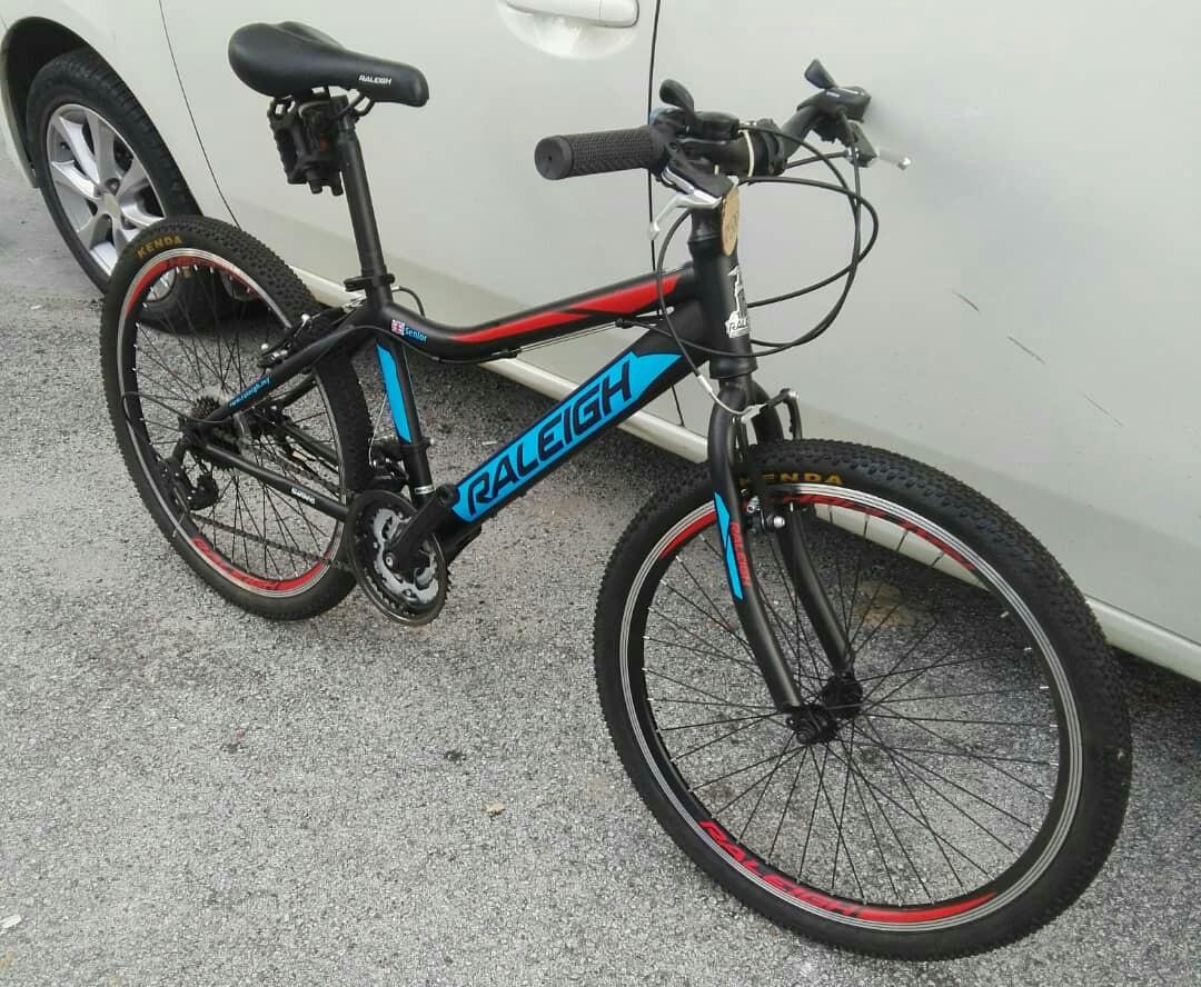 raleigh mtb 26