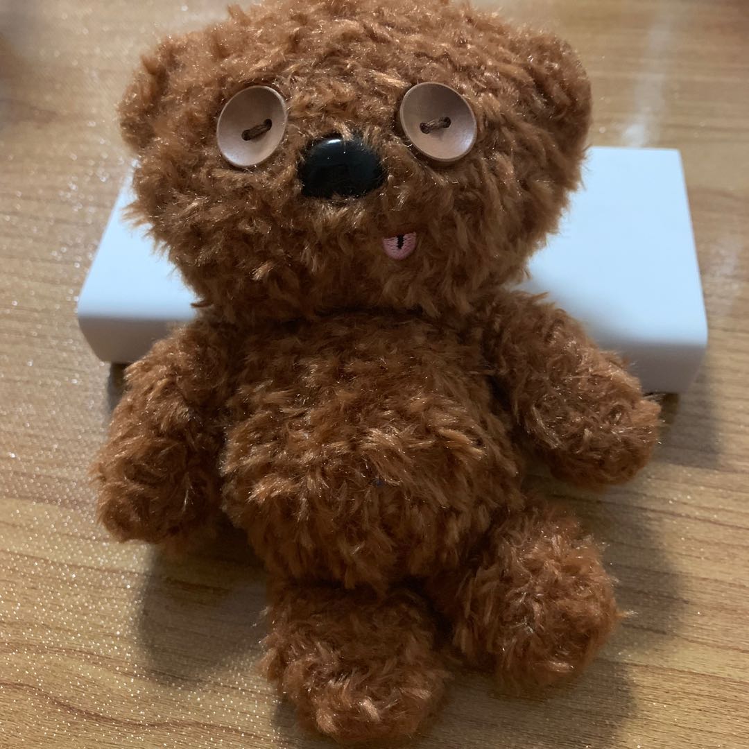 tim bear plush