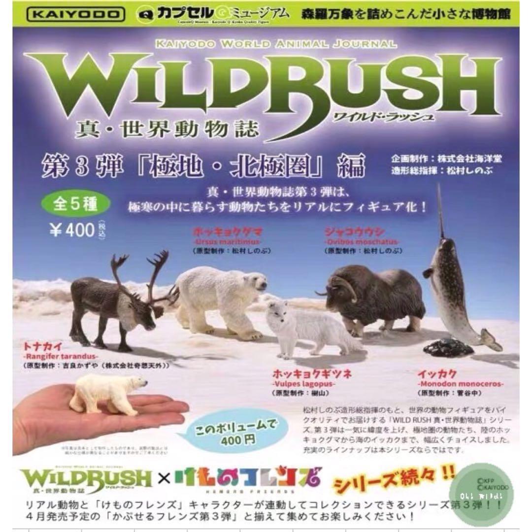 真世界動物誌 3 海洋堂wildrush 極地北極圈䴢鹿北極熊北極狐雪狼麝牛角鯨動物扭蛋 全套5款 扭蛋 興趣及遊戲 玩具 遊戲類