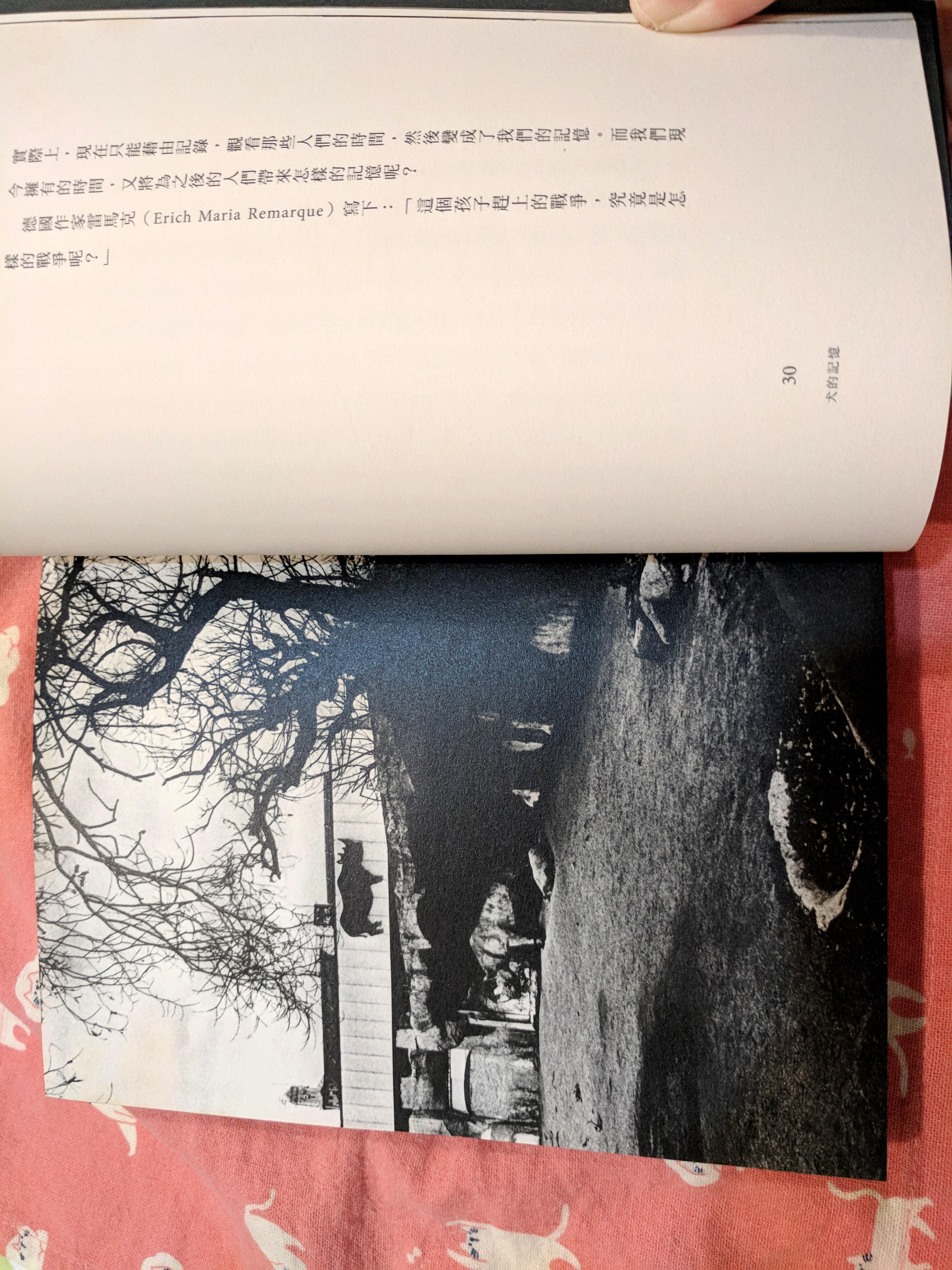 犬的记忆 _森山大道 日本摄影大师