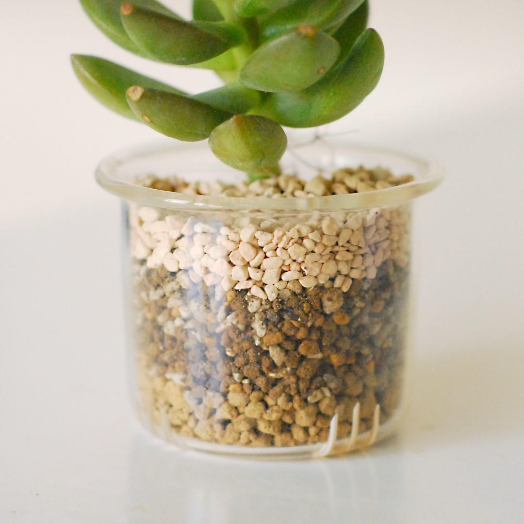 多肉植物泥專用土壤優質泥土泥沙一開即用家居辦公室盆栽適用 傢俬 家居 園藝 盆栽 Carousell