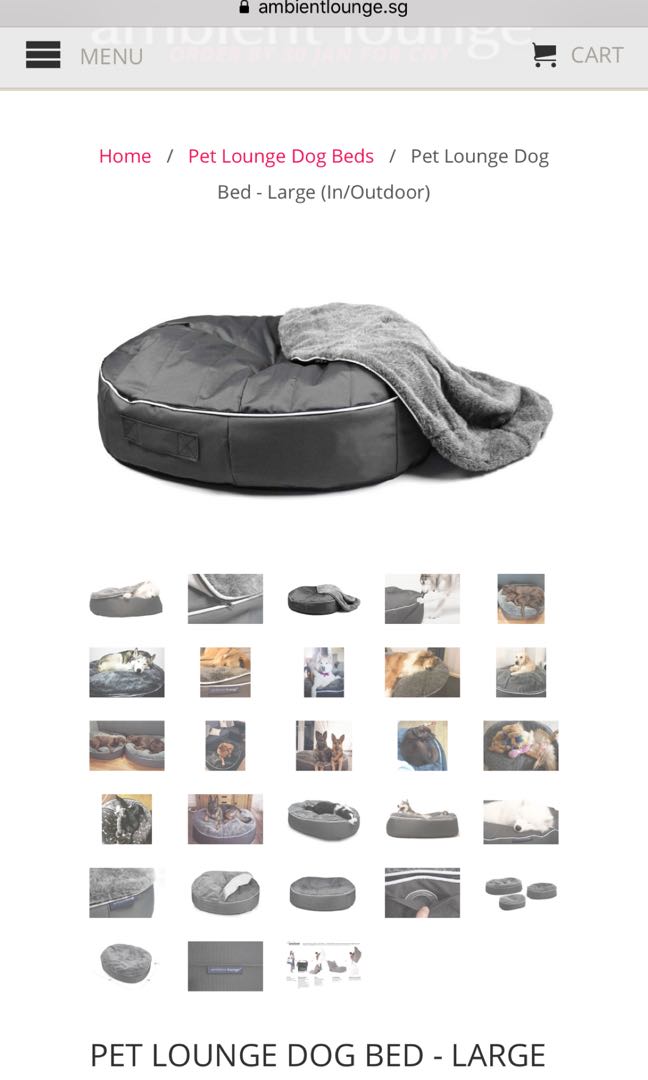 Ambient Lounge Large Dog Bed, Pet Supplies, Homes & Other Pet