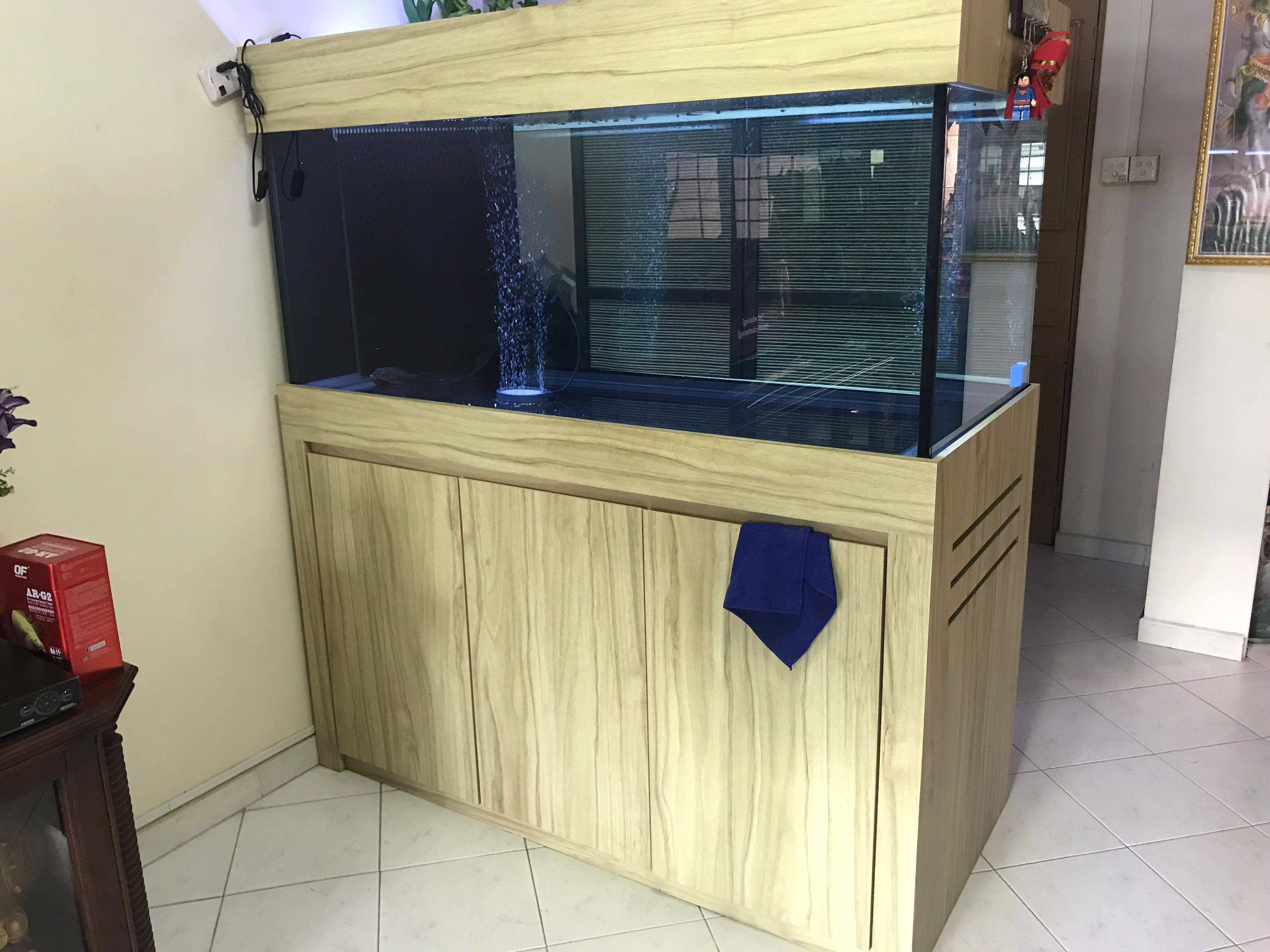 Custom Made Fish Tank, Pet Supplies, Homes & Other Pet Accessories on