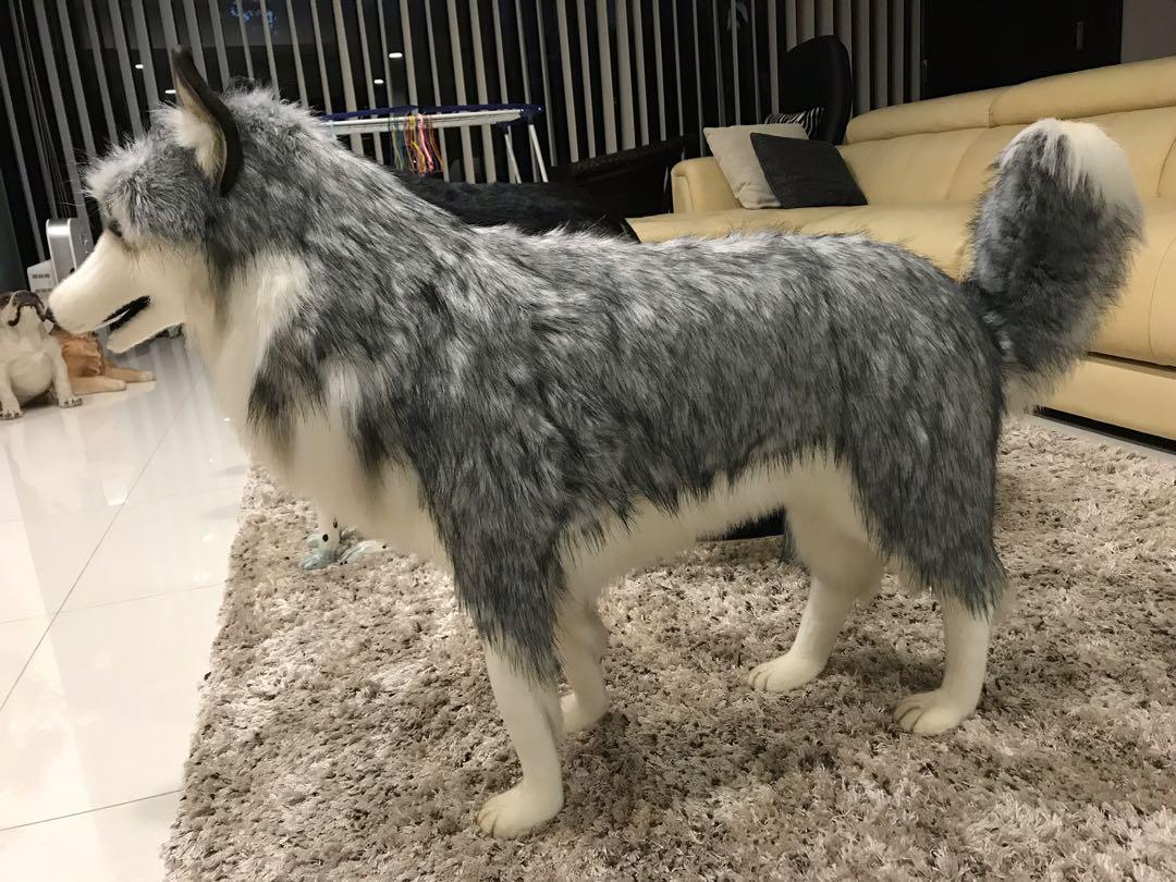 Real life stuffed dogs 2025