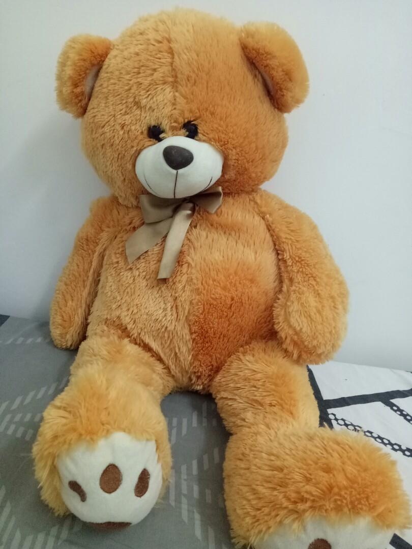 Medium size teddy sale