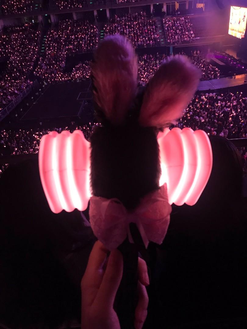 Onhand Blackpink Lightstick Bunny Hat, Hobbies & Toys, Memorabilia