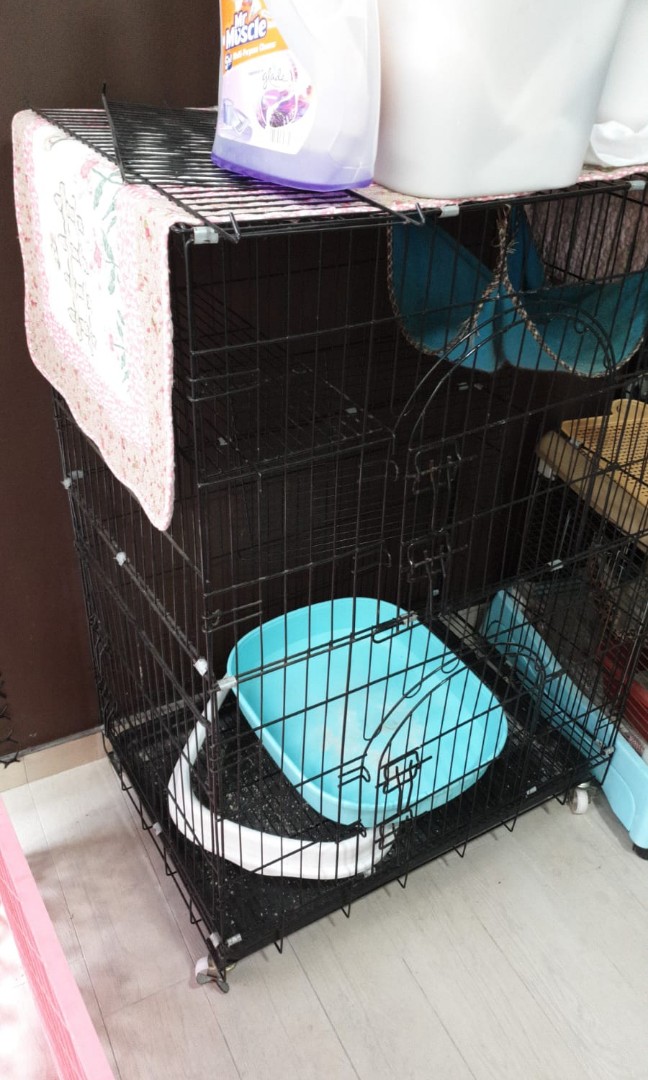 Used cat cage, Pet Supplies, Homes & Other Pet Accessories on Carousell
