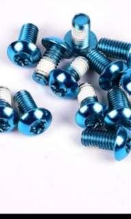 T25 Screw