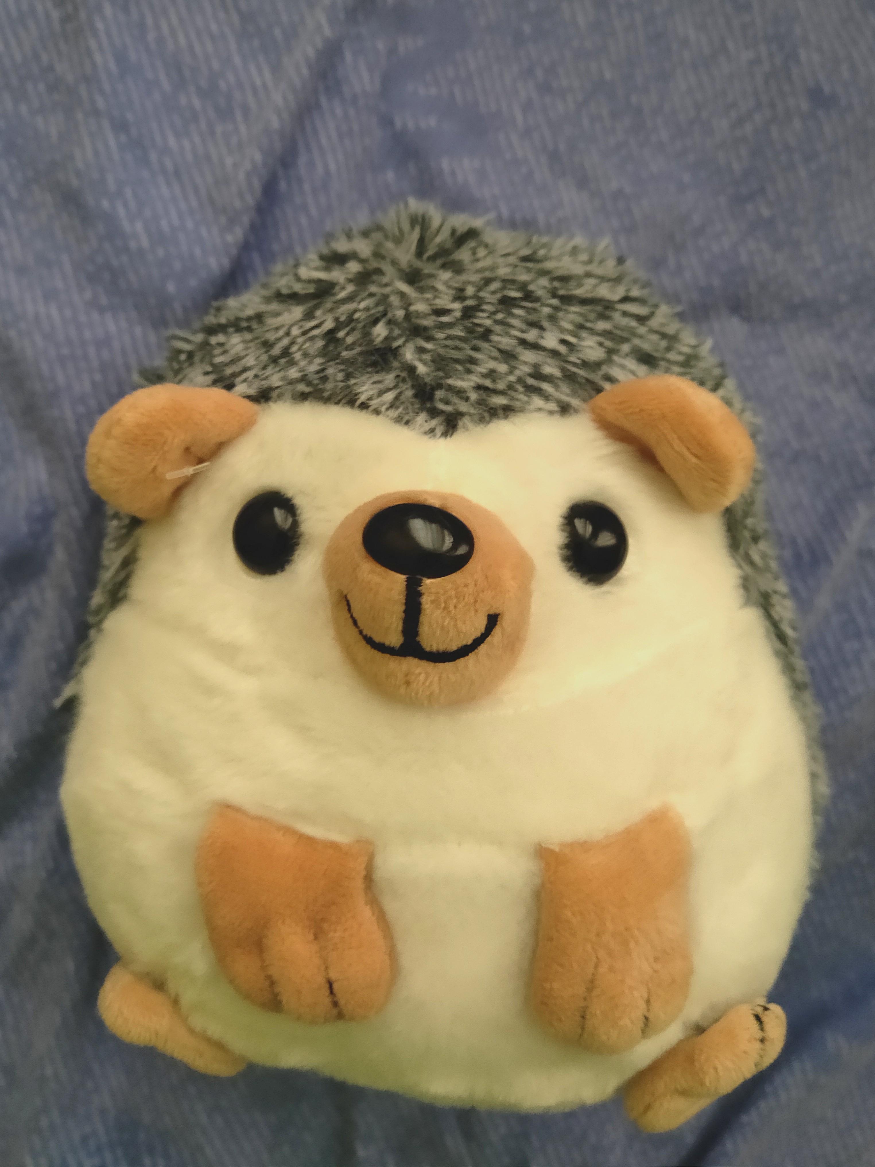 amuse hedgehog