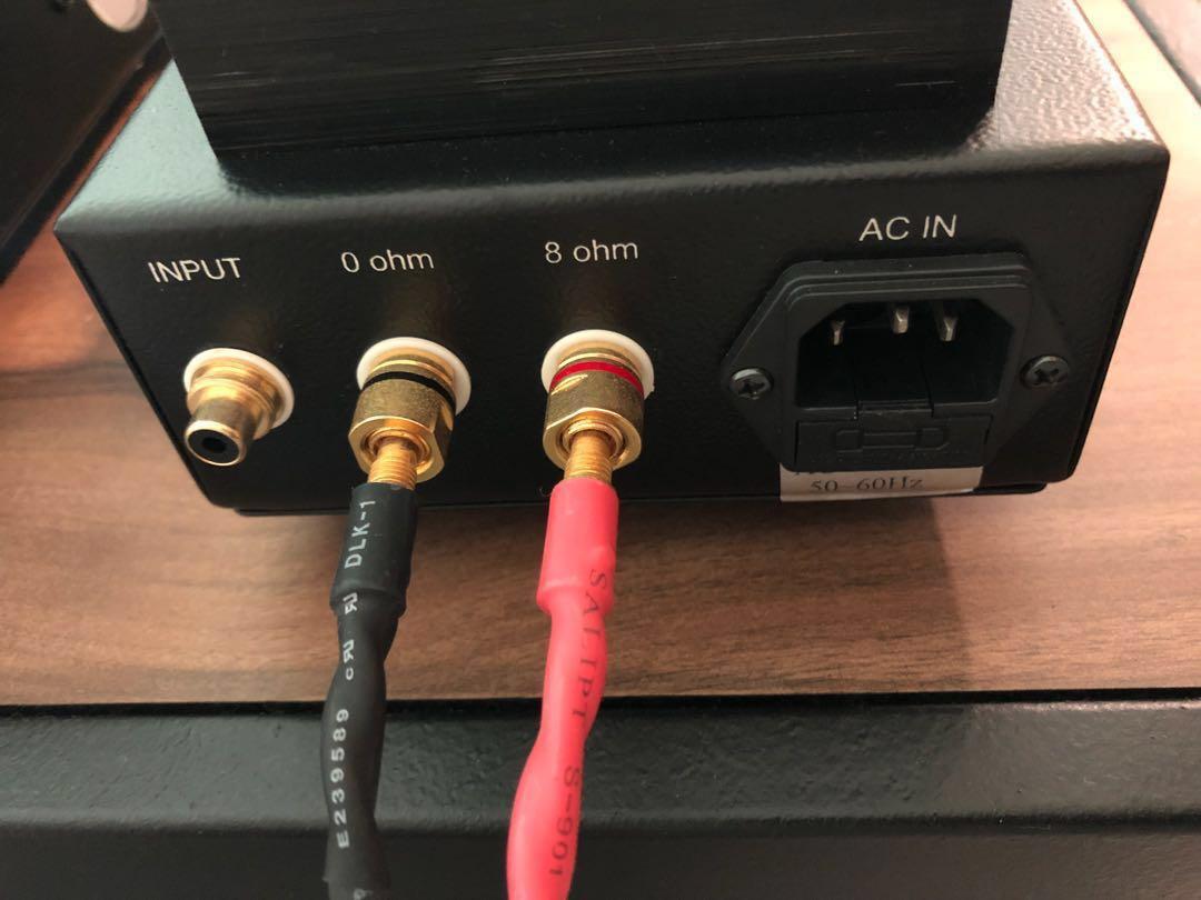 Antique Sound Lab AV25 monoblock amplifier, Audio, Soundbars, Speakers