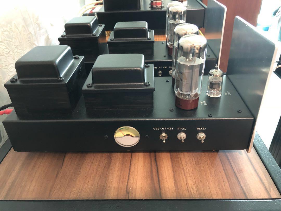 Antique Sound Lab AV25 monoblock amplifier, Audio, Soundbars, Speakers