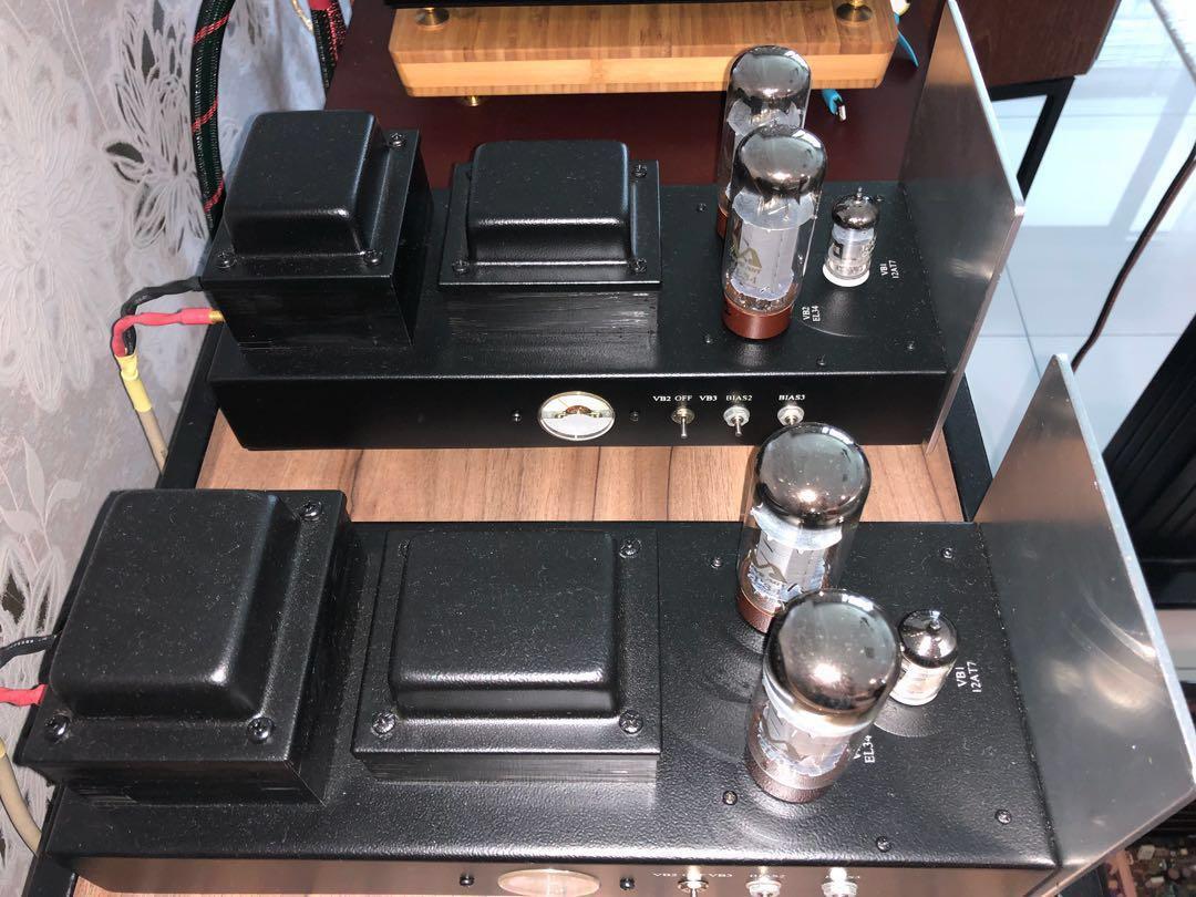 Antique Sound Lab AV25 monoblock amplifier, Audio, Soundbars, Speakers