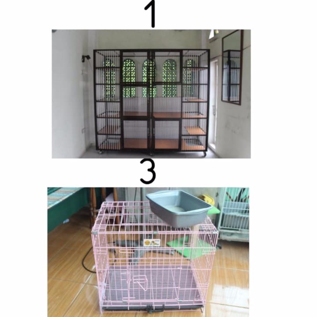 Jual Kandang Kucing Second Murah Bekasi Perlengkapan Hewan Aksesoris Hewan Di Carousell