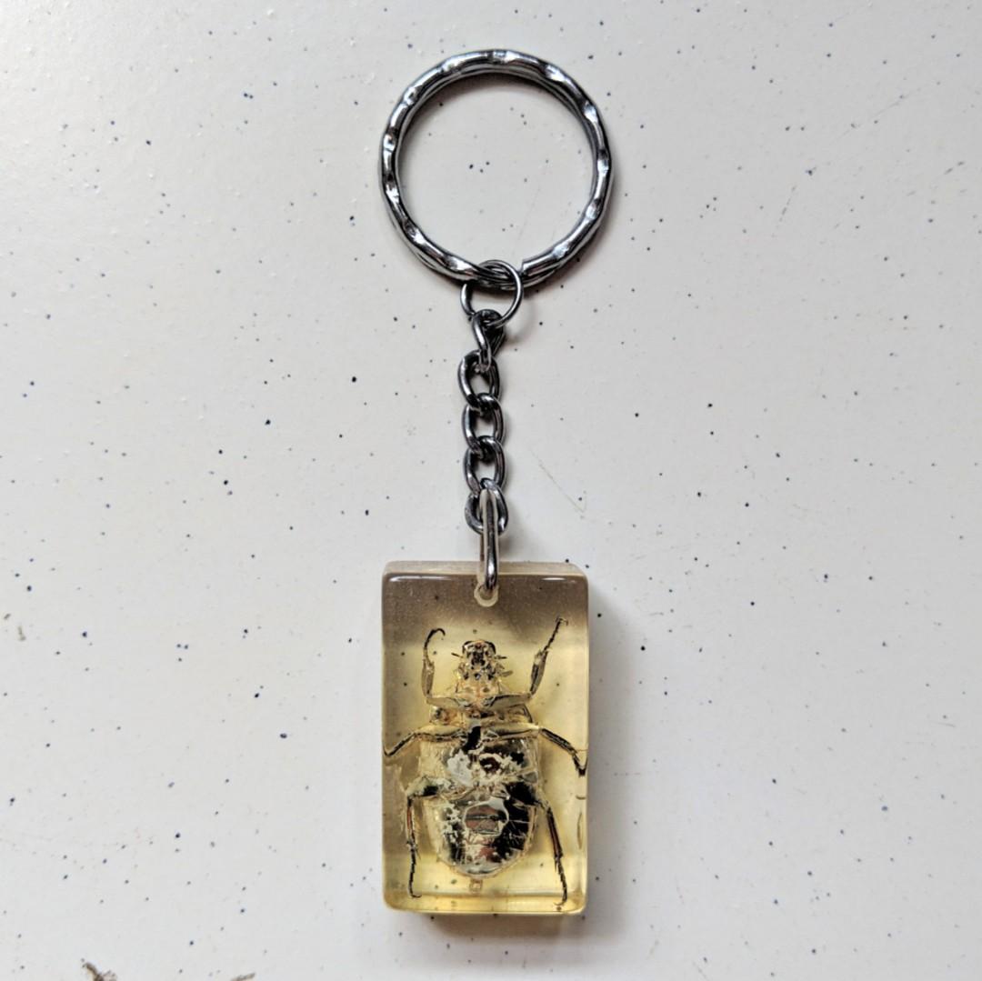 Bug keychain (Category: Religious Items) located in Singapore. Submitted by kimchipancakes (Listing ID 211135280, Image 2). Description: Some kind of insect acrylic keychain. Not too sure. Found it in storage, never used before. One side of the acrylic is rougher than the other side, I think it is part of the manufacturing process. Dimensions: 2.2cm x 3.6cm x 1.2cm Collect at Yew Tee MRT Keywords: Insect, beetle, bug.