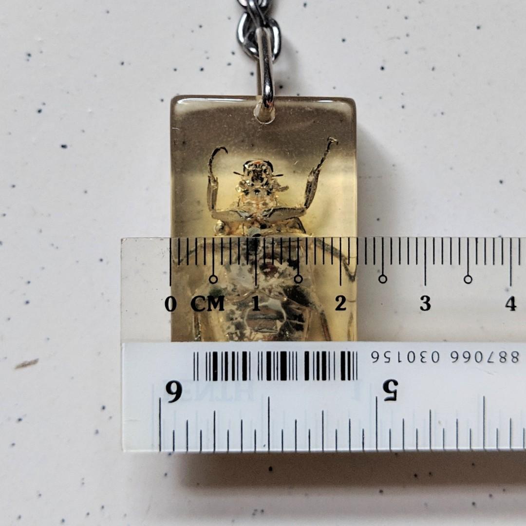 Bug keychain (Category: Religious Items) located in Singapore. Submitted by kimchipancakes (Listing ID 211135280, Image 5). Description: Some kind of insect acrylic keychain. Not too sure. Found it in storage, never used before. One side of the acrylic is rougher than the other side, I think it is part of the manufacturing process. Dimensions: 2.2cm x 3.6cm x 1.2cm Collect at Yew Tee MRT Keywords: Insect, beetle, bug.