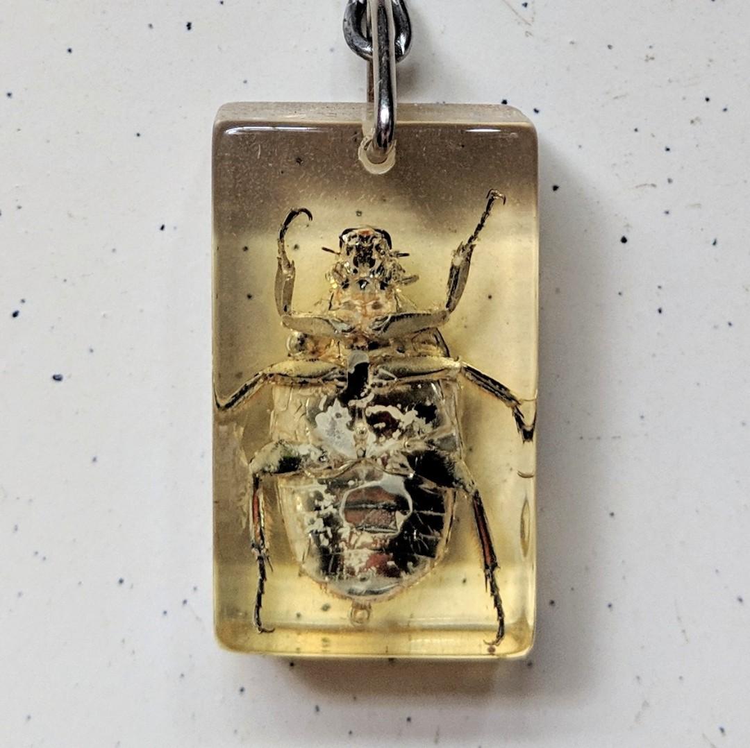 Bug keychain (Category: Religious Items) located in Singapore. Submitted by kimchipancakes (Listing ID 211135280, Image 4). Description: Some kind of insect acrylic keychain. Not too sure. Found it in storage, never used before. One side of the acrylic is rougher than the other side, I think it is part of the manufacturing process. Dimensions: 2.2cm x 3.6cm x 1.2cm Collect at Yew Tee MRT Keywords: Insect, beetle, bug.