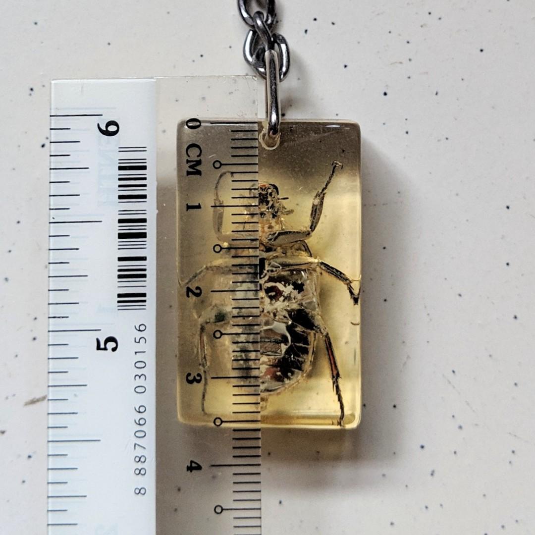 Bug keychain (Category: Religious Items) located in Singapore. Submitted by kimchipancakes (Listing ID 211135280, Image 6). Description: Some kind of insect acrylic keychain. Not too sure. Found it in storage, never used before. One side of the acrylic is rougher than the other side, I think it is part of the manufacturing process. Dimensions: 2.2cm x 3.6cm x 1.2cm Collect at Yew Tee MRT Keywords: Insect, beetle, bug.