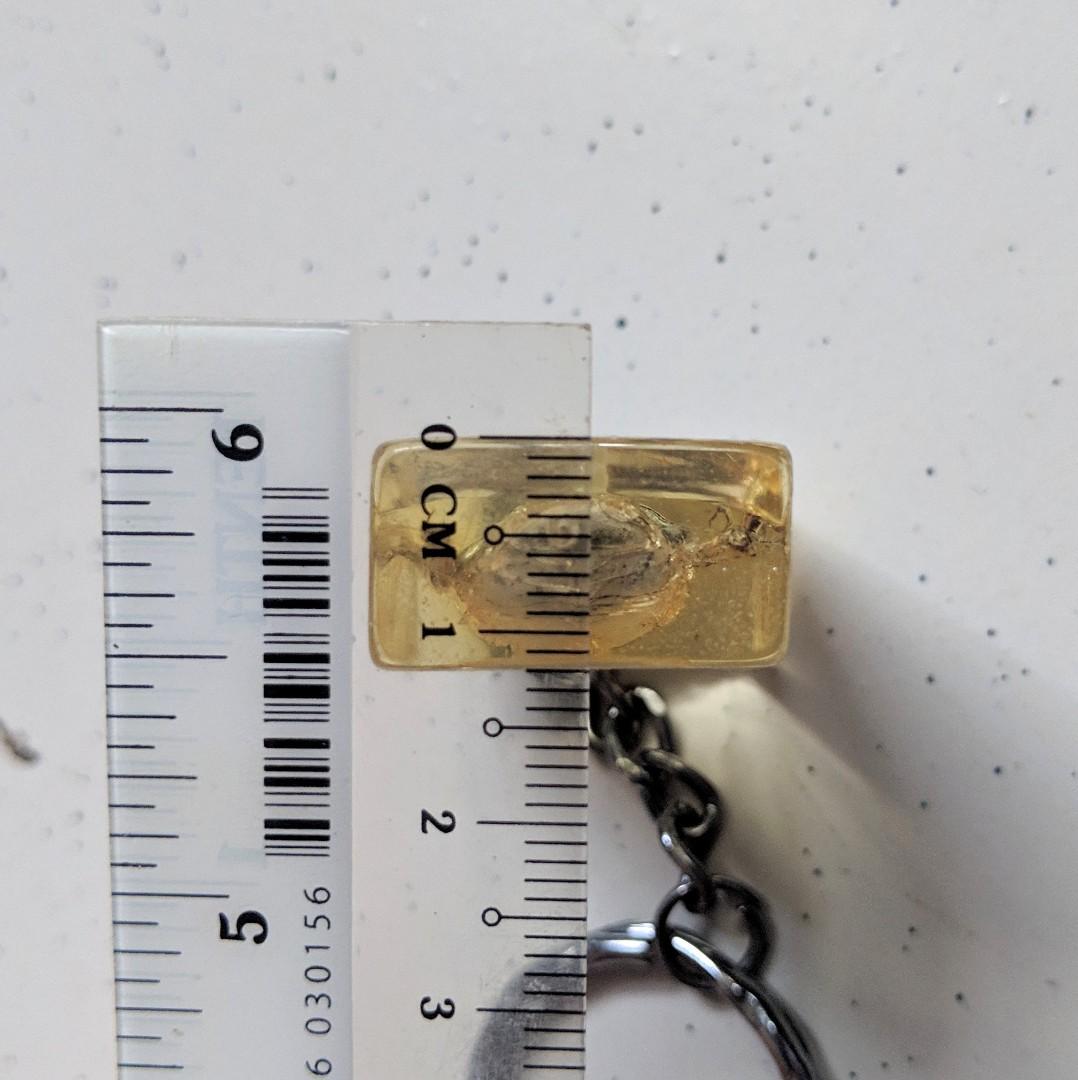 Bug keychain (Category: Religious Items) located in Singapore. Submitted by kimchipancakes (Listing ID 211135280, Image 7). Description: Some kind of insect acrylic keychain. Not too sure. Found it in storage, never used before. One side of the acrylic is rougher than the other side, I think it is part of the manufacturing process. Dimensions: 2.2cm x 3.6cm x 1.2cm Collect at Yew Tee MRT Keywords: Insect, beetle, bug.