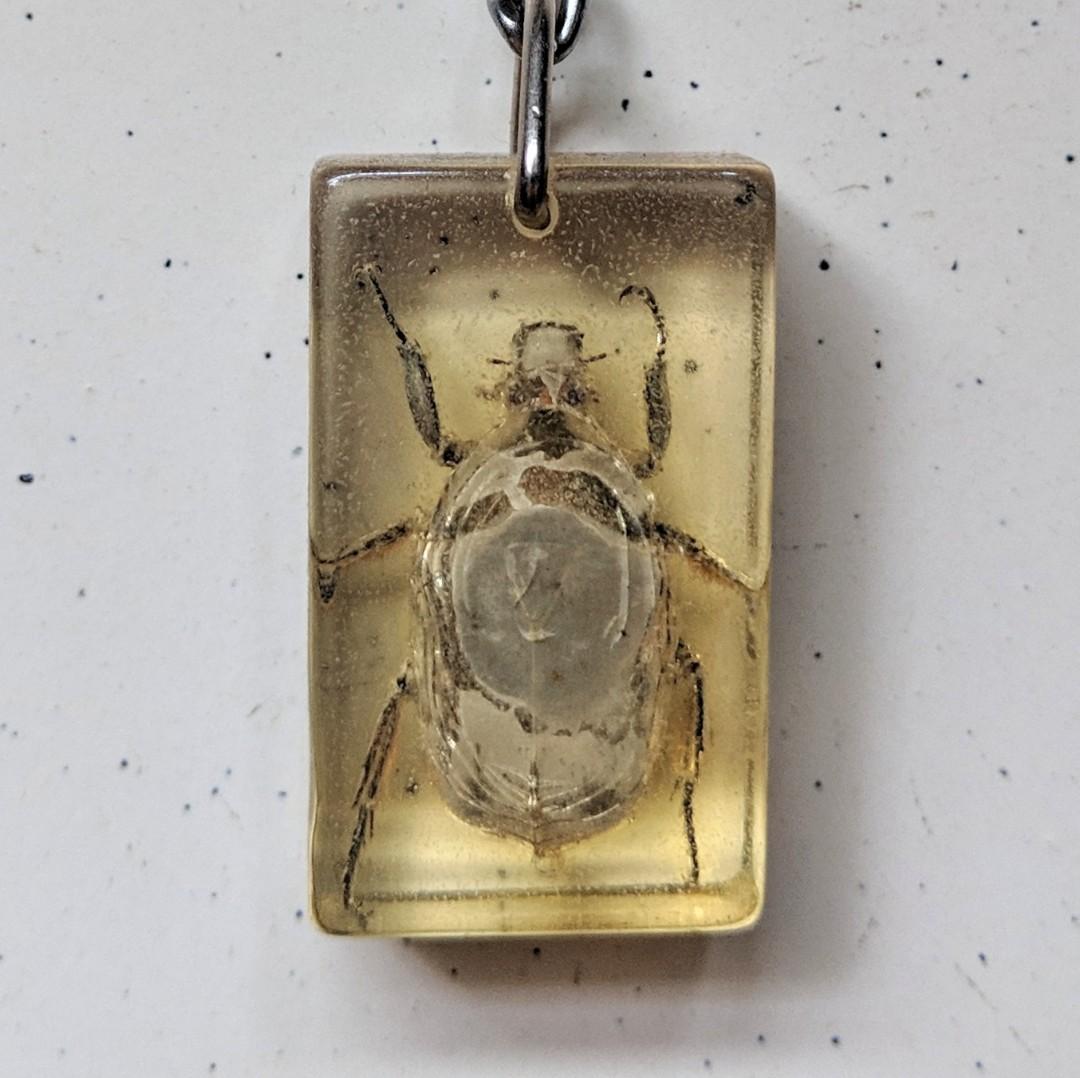 Bug keychain (Category: Religious Items) located in Singapore. Submitted by kimchipancakes (Listing ID 211135280, Image 3). Description: Some kind of insect acrylic keychain. Not too sure. Found it in storage, never used before. One side of the acrylic is rougher than the other side, I think it is part of the manufacturing process. Dimensions: 2.2cm x 3.6cm x 1.2cm Collect at Yew Tee MRT Keywords: Insect, beetle, bug.
