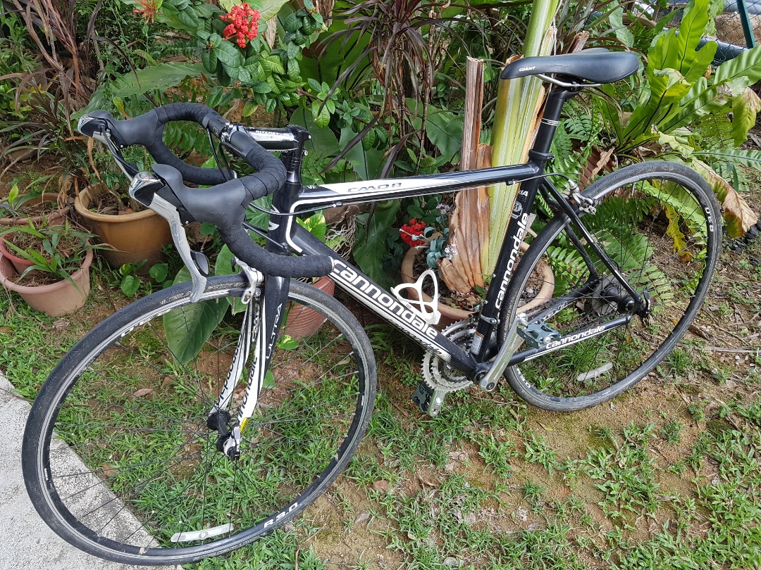 cannondale caad8 price