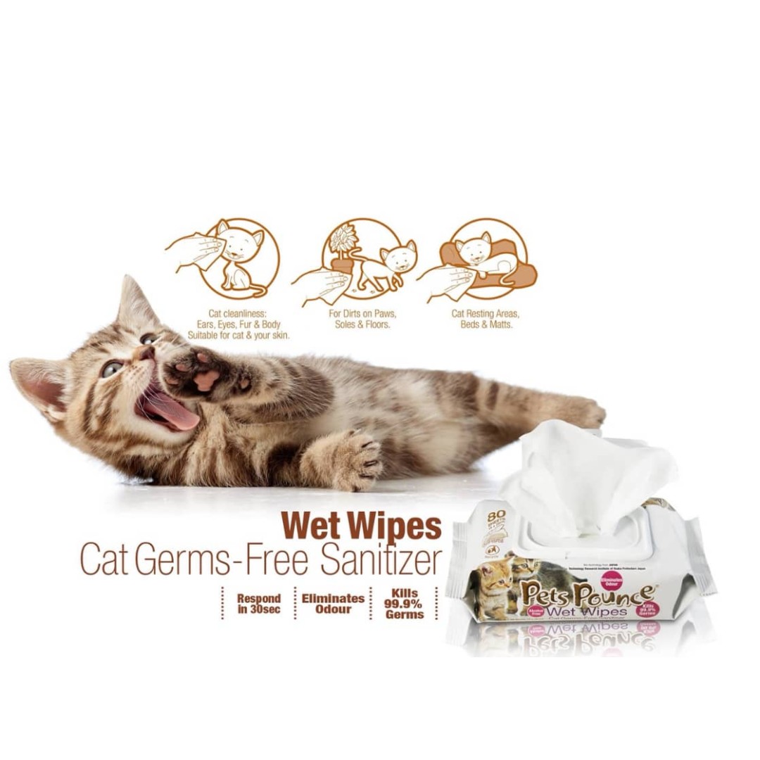 Image result for Bio ion pets pounce wet wipes 80 sheets